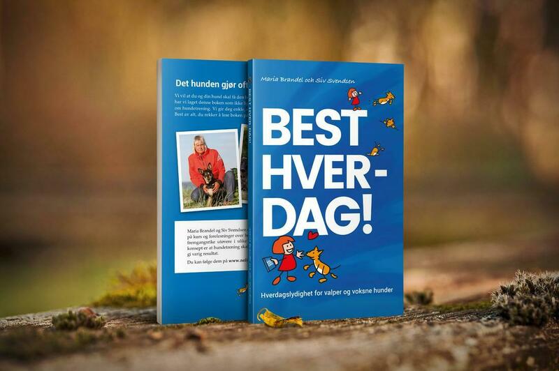 Kursus i hverdagslydighed - BEST HVER-DAG